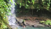 Two people bathing beneath a waterfall at Emerald Pool in Dominica