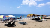 Dominica’s Mero Beach filled with chairs and umbrellas