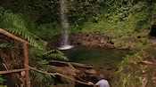 A person at Twin Falls in Dominica
