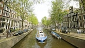 A boat in the canal along tree lined streets of Rotterdam in Amsterdam