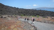 Guests hiking along a summit covered with volcanic rock