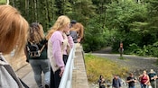 Guests watching fish swimming down a stream in Sitka National Historical Park