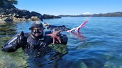 A snorkeler holding up a starfish in a body of water