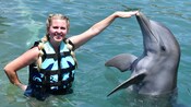 Uma mulher em pé na água, estendendo seu braço e tocando o nariz de um golfinho