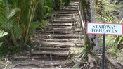 Steps leading up the side of a mountain in Saint Lucia with a sign that reads ‘Stairway to Heaven’