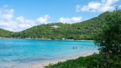 Pessoas aproveitando as águas de uma exuberante praia tropical