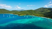 Sailboats in the waters off a verdant island