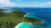 Vista aérea de uma praia com árvores e mar em Saint John, Ilhas Virgens Americanas