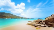A tropical beach cove with pleasure boats docked in the water