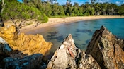 An unspoiled lagoon with coastal oaks and rocky outcrops