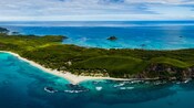 A lush island in the South Pacific 
