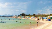 Personas disfrutando de una playa cerca de una ciudad metropolitana