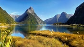 Milford Sound at Fiordland National Park in New Zealand