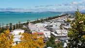 Buildings on the Napier coastline in New Zealand