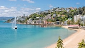 Bahía Oriental de Wellington, Nueva Zelanda