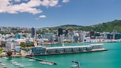 Wellington Harbour seen from Mount Victoria