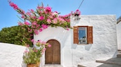 The façade of a traditional house in Lindos, Greece with bougainvillea flowers