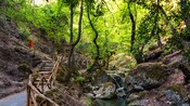 Un sendero en un bosque cerca de un arroyo en el Valle de las Mariposas de Rodas, un parque natural en Rodas, Grecia