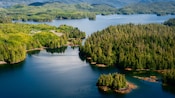 A heavily forested region in Ketchikan, Alaska, with winding waterways and islands