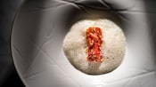 A rectangular piece of Norwegian King Crab meat, topped with herbs and spices, on a bed of light foam