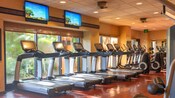 A row of treadmills in the Zahanati Massage and Fitness Center at Disney's Animal Kingdom Lodge