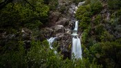 A waterfall cascading down a lush mountainside