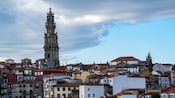 Clerigos Tower overlooking buildings in Porto