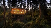 A lighted treehouse in the woods