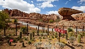 The desert themed race track at Cars Land The desert themed race track at Cars Land