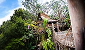 A rope bridge by a tree house at Tarzans Treehouse attraction A rope bridge by a tree house at Tarzans Treehouse attraction