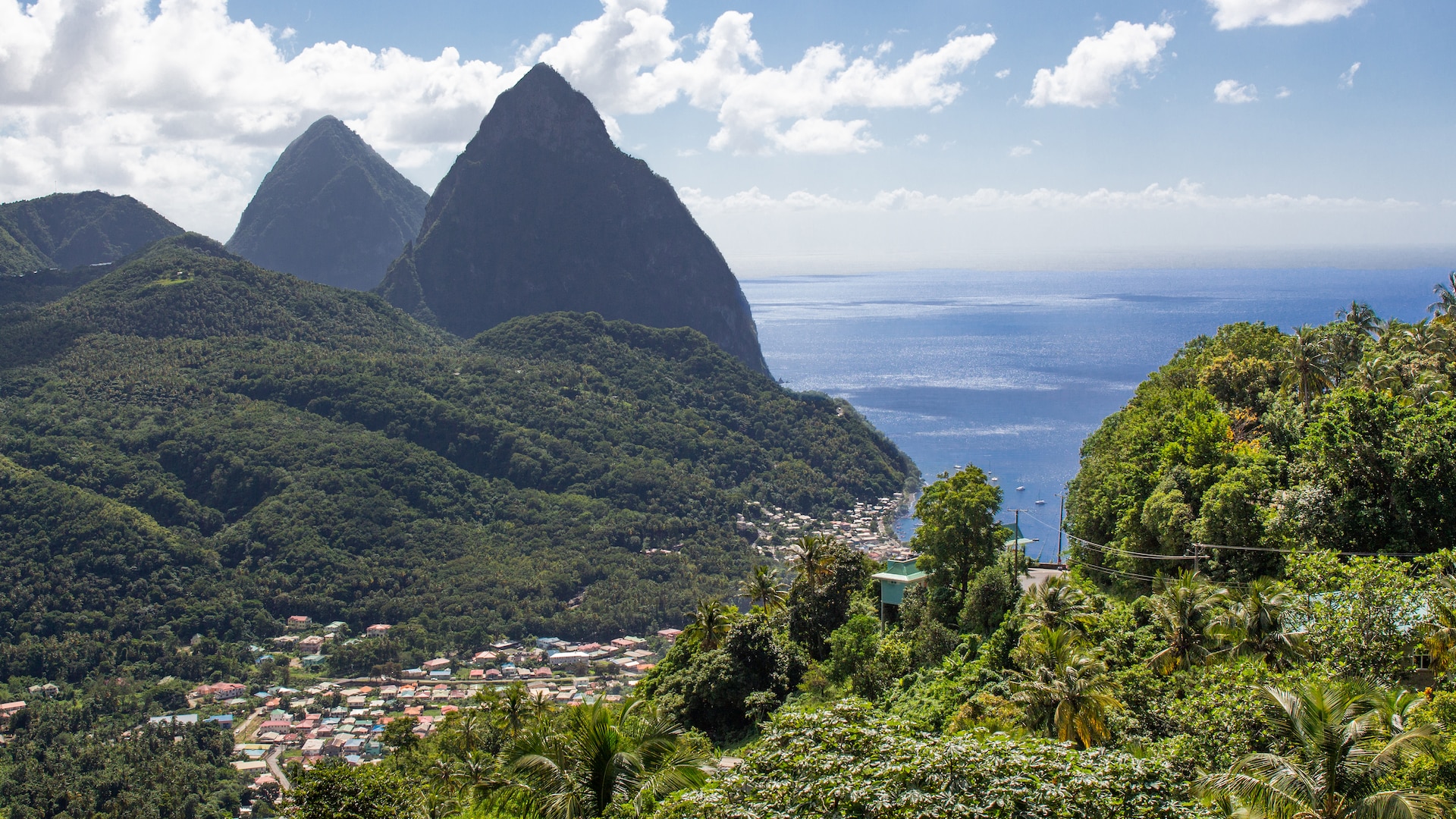 Piton Mountains & Diamond Biotanical Garden Accessible Tour in St