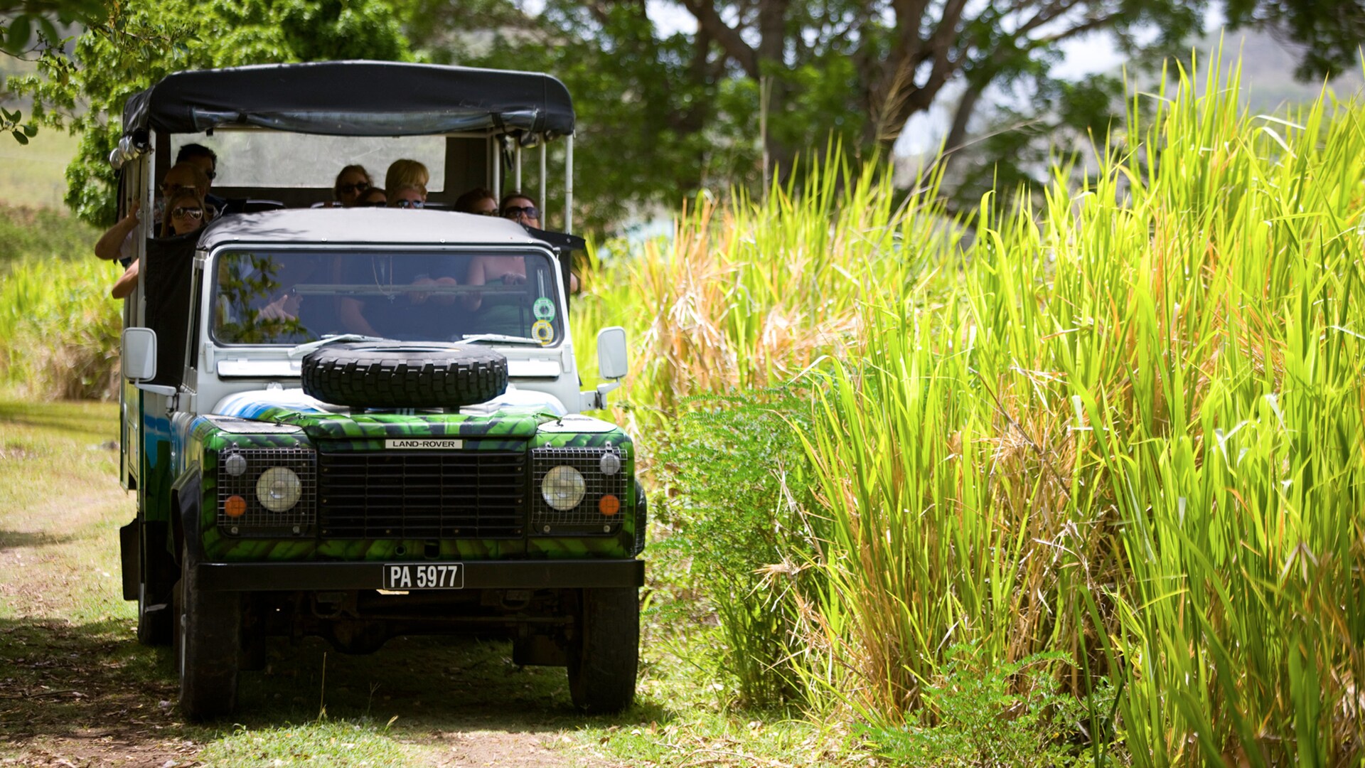 4X4 Island Safari & Beach Adventure Disney Cruise Line