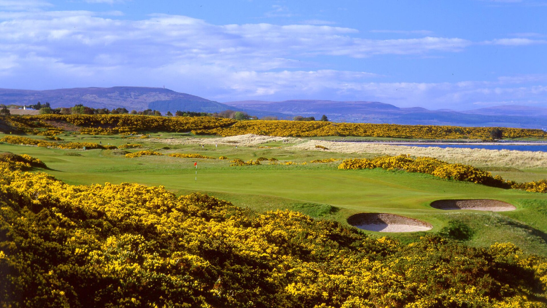 A Day at Royal Dornoch Golf Club Disney Cruise Line