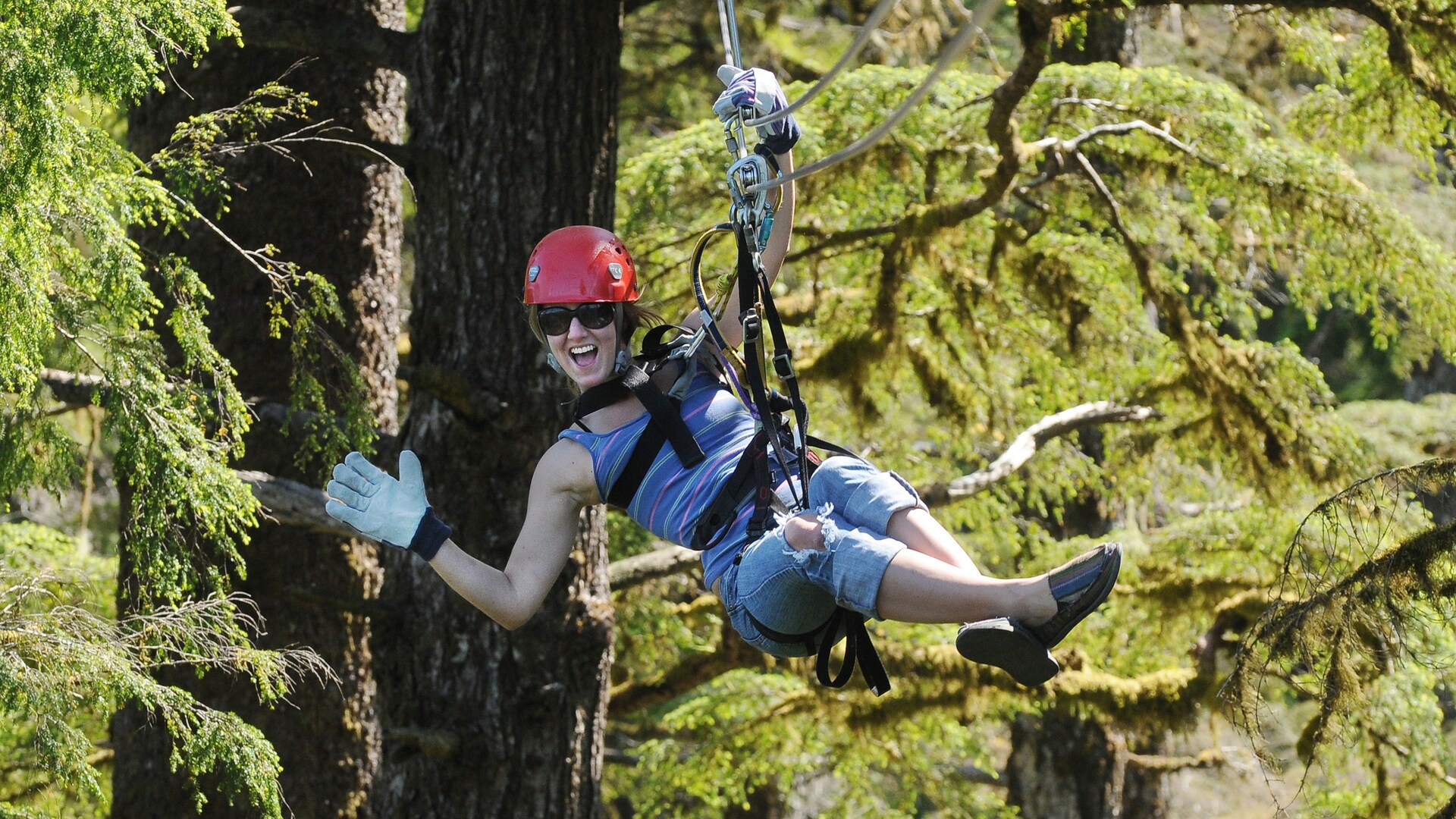 Alaskan Rainforest ZipLine, Skybridge & Rappel Adventure Disney