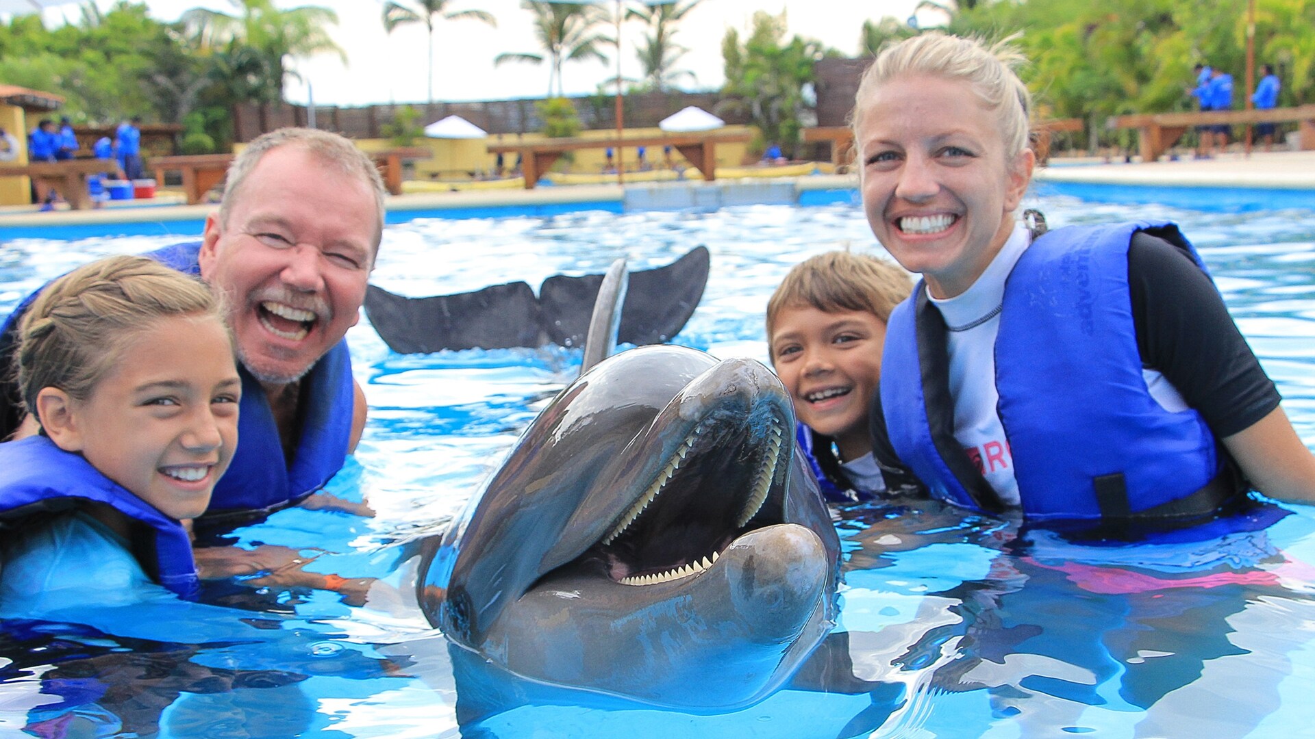 Dolphin Signature Swim in Puerto Vallarta Disney Cruise Line