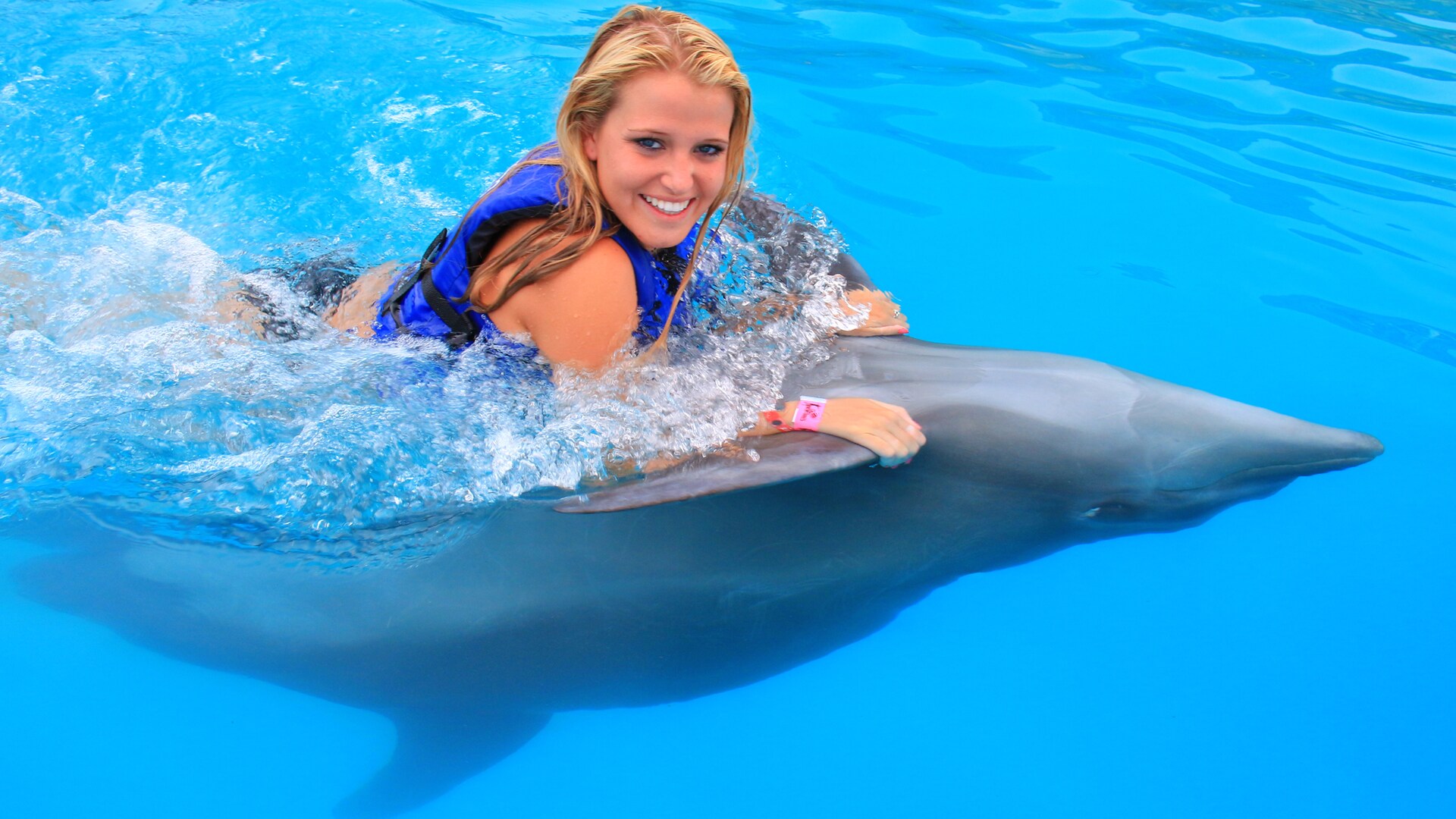 Swim with Dolphins in Puerto Vallarta Disney Cruise Line