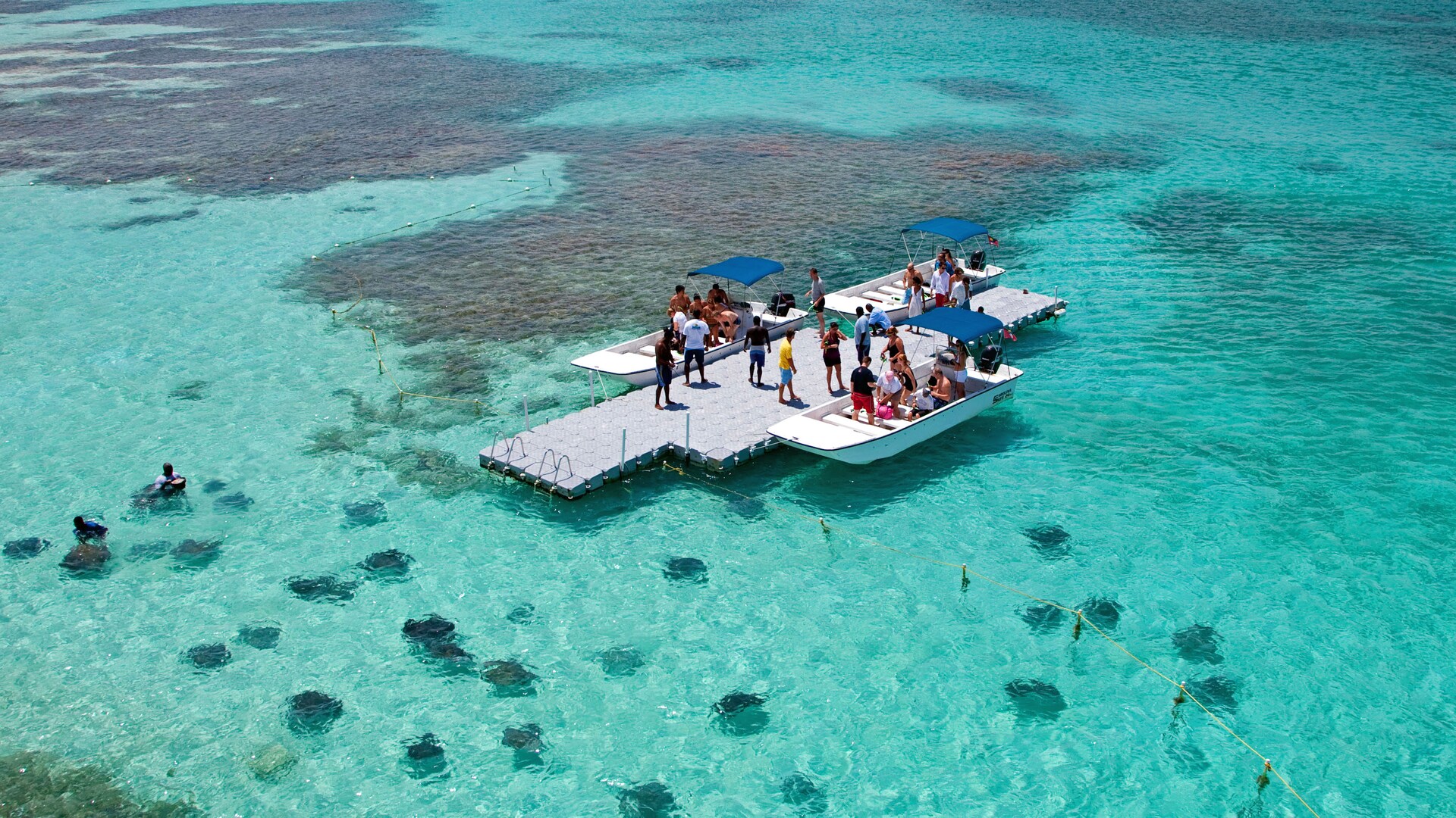 Stingray Swim and Snorkel in Antigua Disney Cruise Line