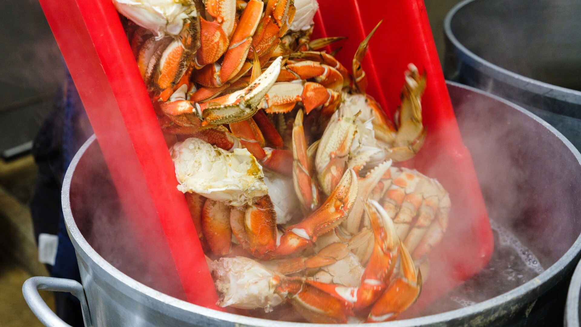 Dungeness Crab Feast at George Inlet Lodge | Port Adventures | Disney ...