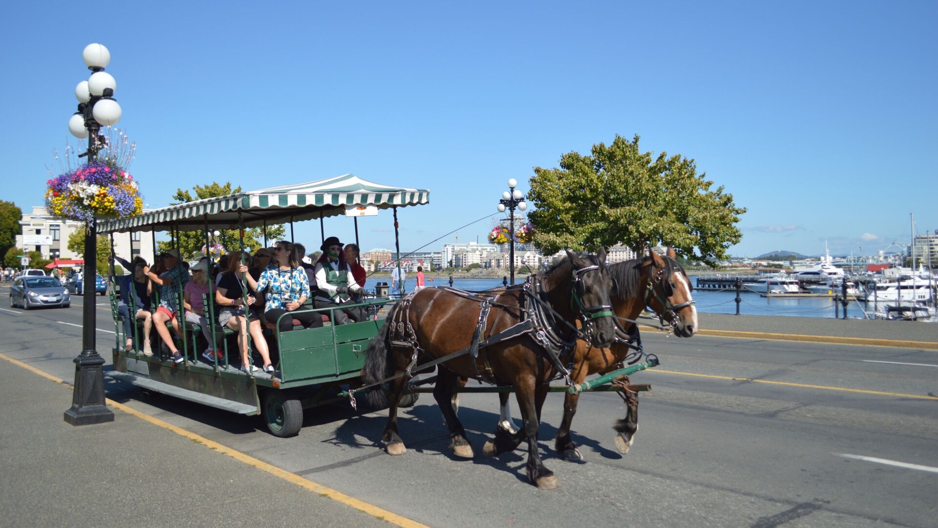 Horse-Drawn Trolley Tour of Victoria | Disney Cruise Line