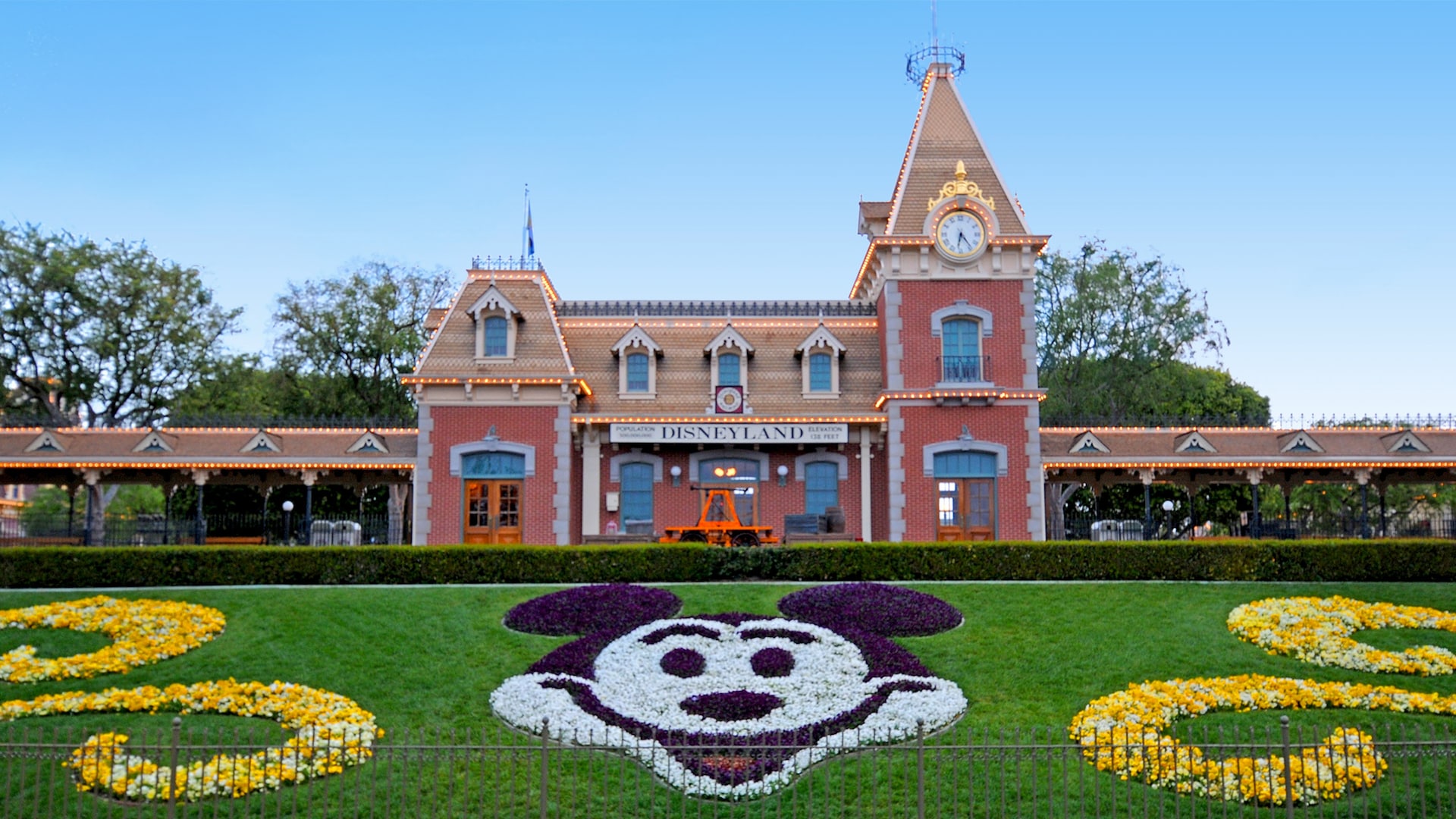 Disneyland floral Mickey