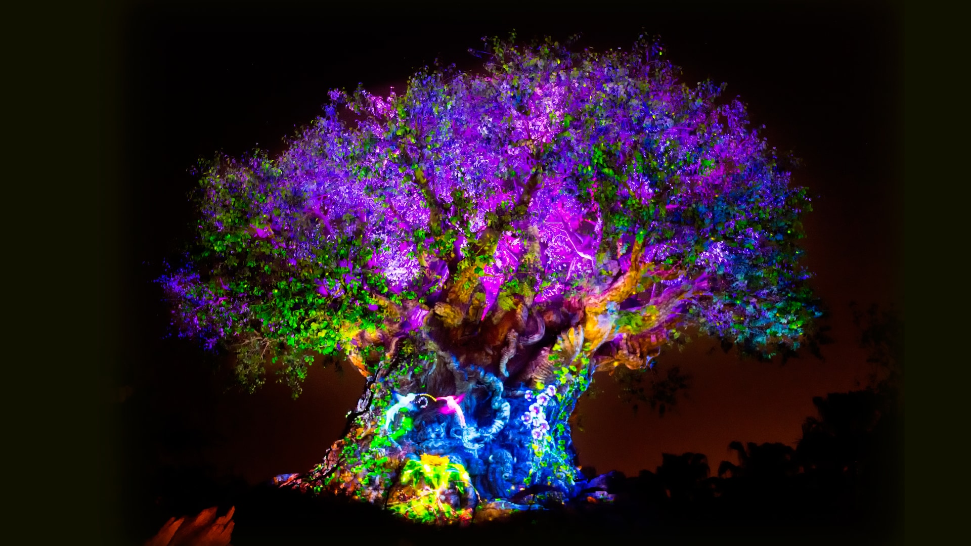 The Tree of Life awakens at nighttime with vibrant lights, animal projections and special effects