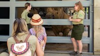 Up Close with Rhinos