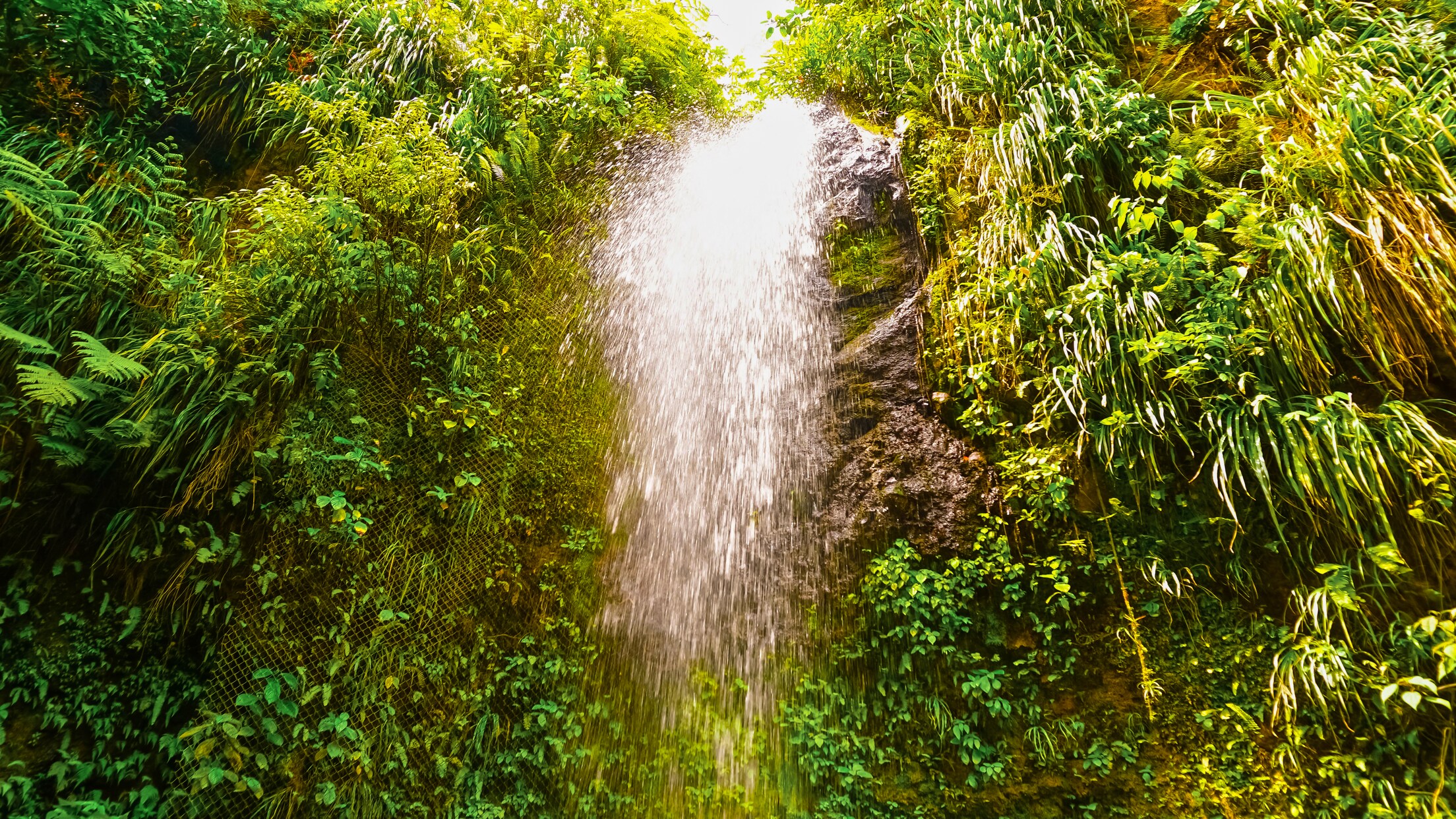 Piton Mountains & Diamond Biotanical Garden Accessible Tour in St