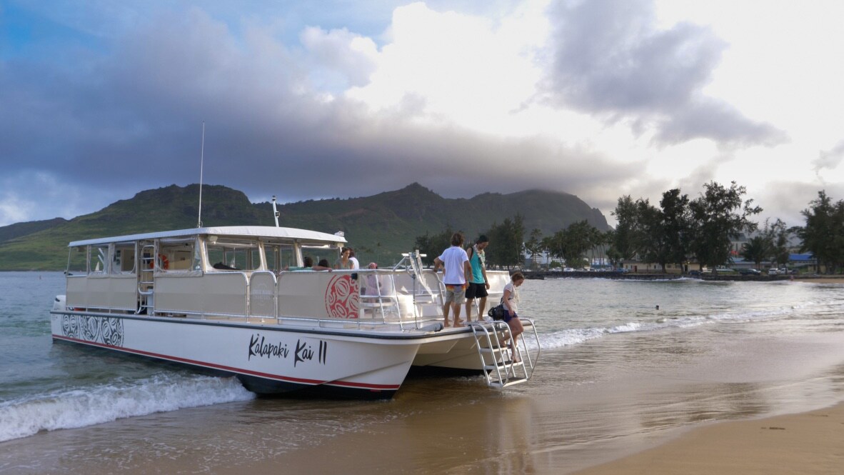 Kalapaki Catamaran Coastline Tour & Cocktails from Nawiliwili Disney