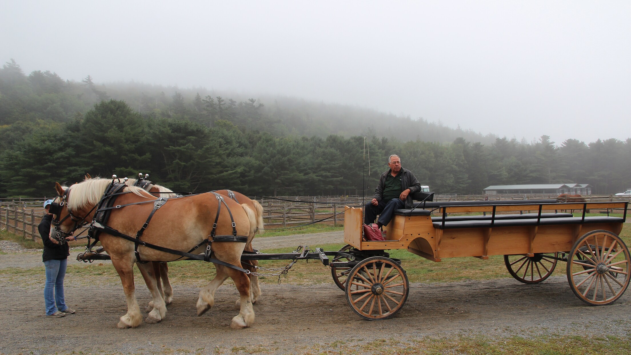 Acadia National Park & Carriage Ride Disney Cruise Line