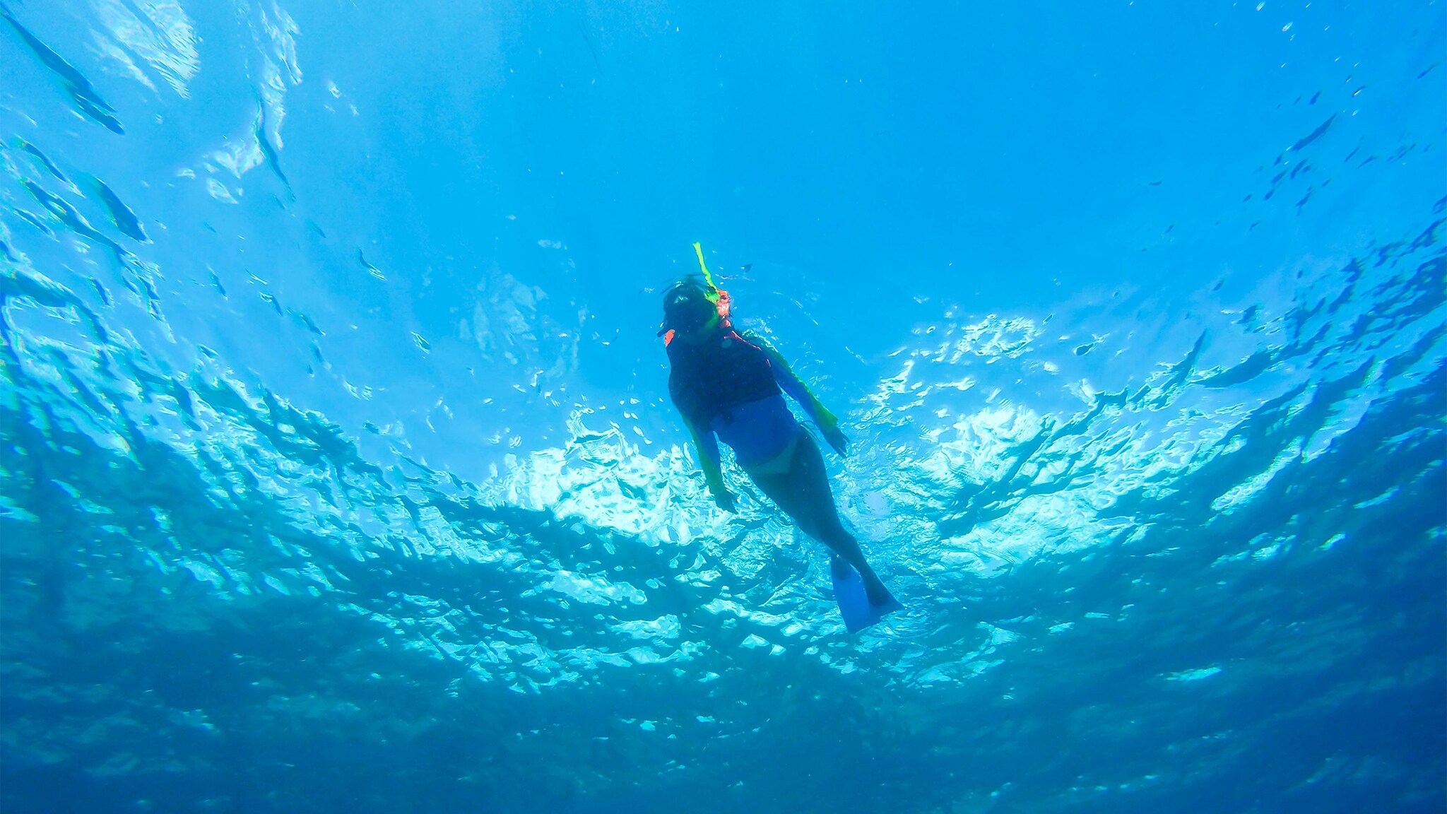 costa maya catamaran snorkel