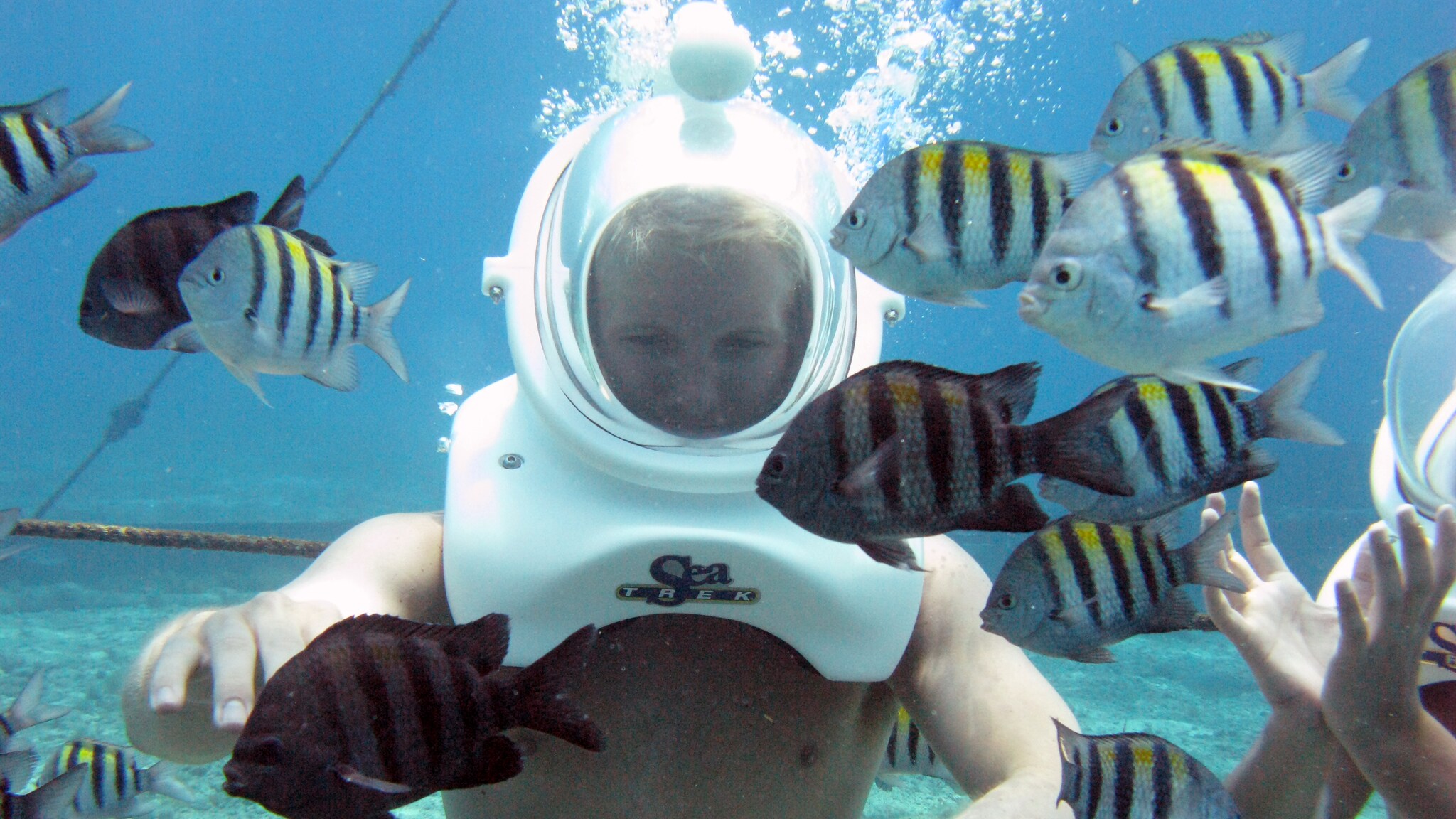 blue water sea trek helmet diving and snorkel cozumel