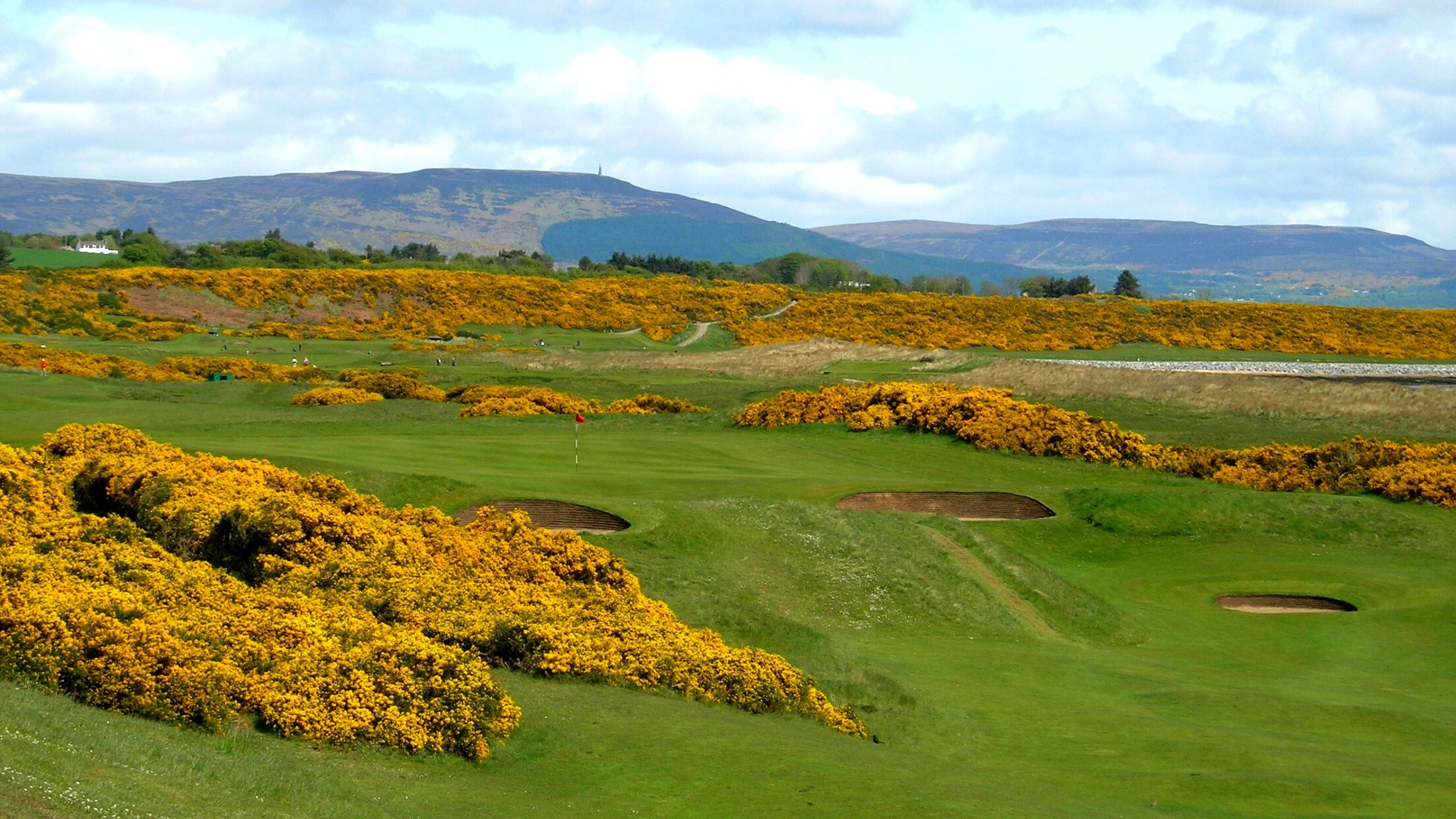 A Day at Royal Dornoch Golf Club Disney Cruise Line