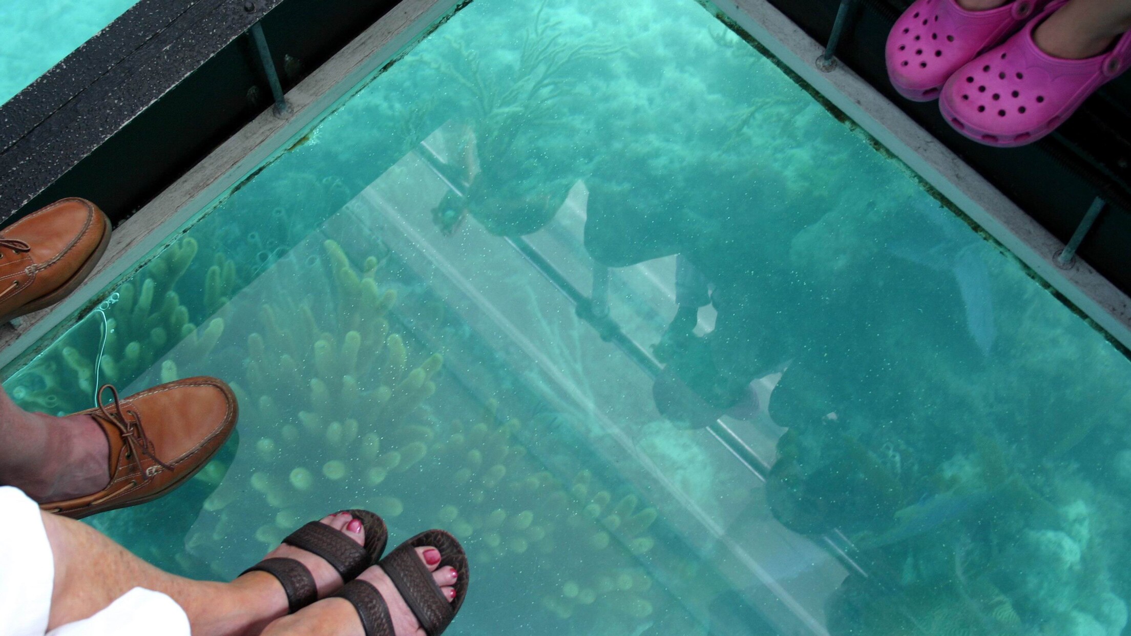 Bermuda GlassBottom Boat Sightseeing Cruise Disney Cruise Line