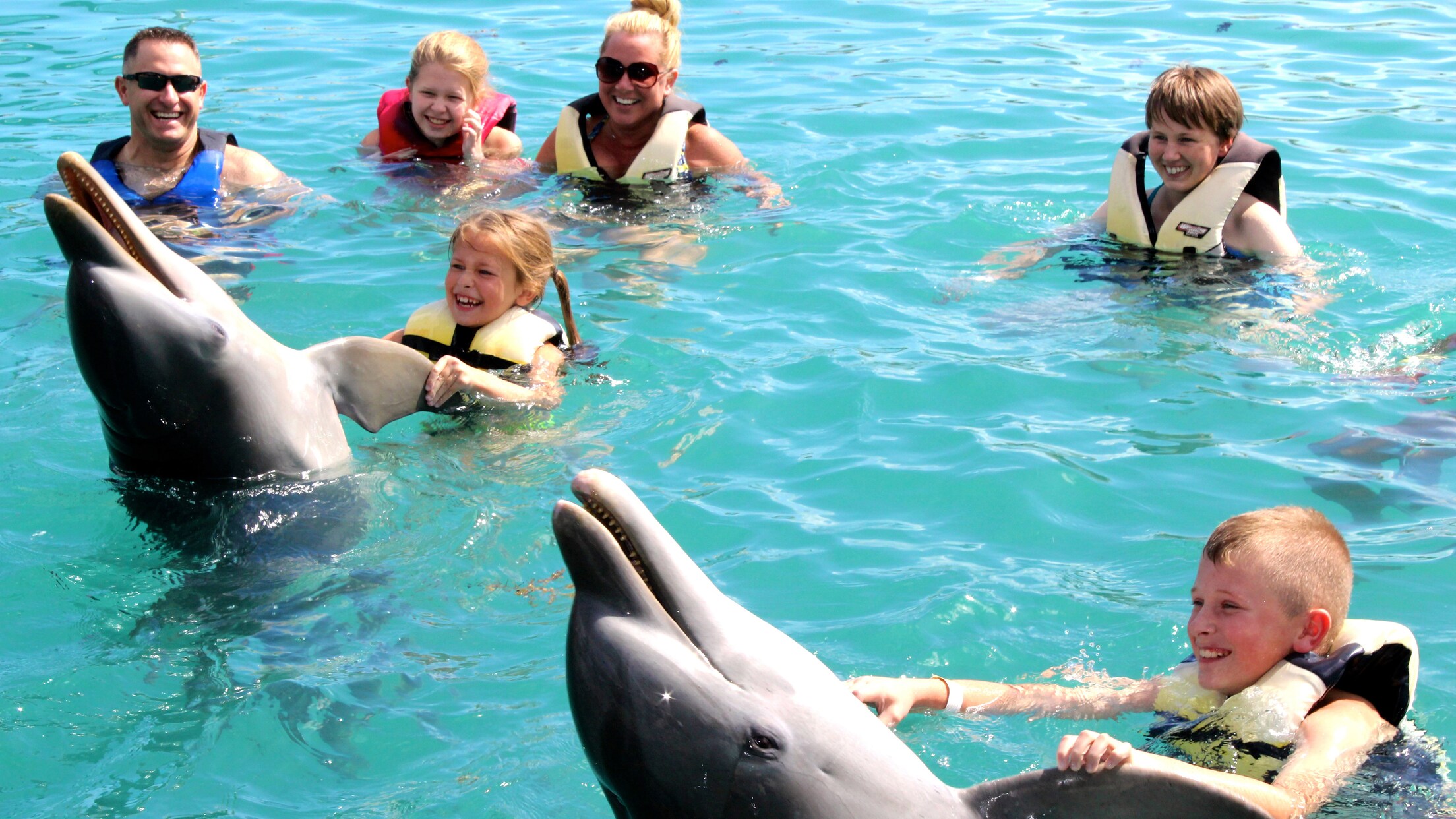 Blue Lagoon Island Dolphin Swim Disney Cruise Line